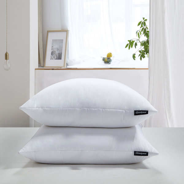 Beautyrest Cotton SoftyAroundfeather And Down Euro Pillow (2PK) Firm